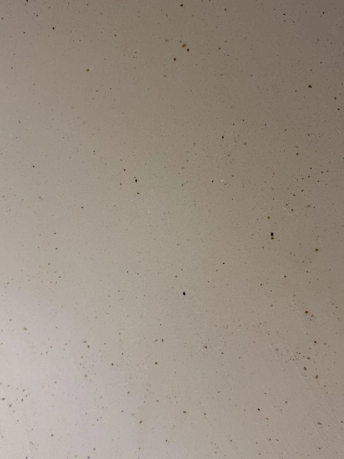 Close up of a smooth Oltre microcement finish with natural aggregate flecks